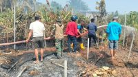 Kebakaran Perkebunan Sagu Buol