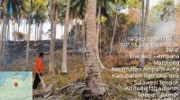 kebakaran hutan Malotong
