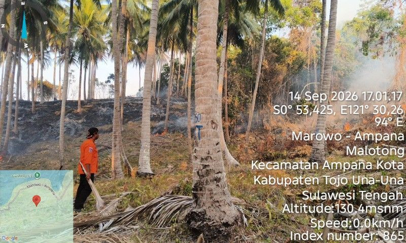 kebakaran hutan Malotong
