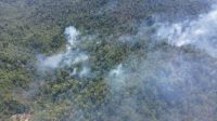 Kebakaran Hutan dan Lahan Toli-Toli