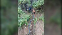 Kebakaran Hutan Buol
