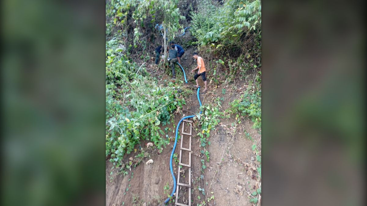 Kebakaran Hutan Buol