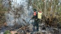 kebakaran lahan Donggala