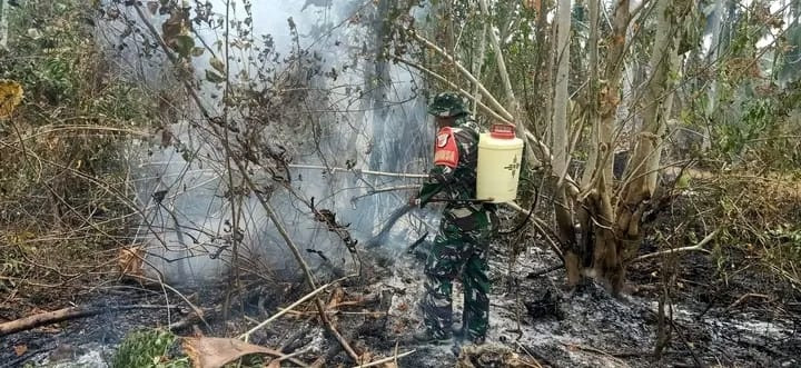 kebakaran lahan Donggala