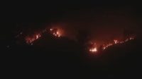 Kebakaran Lahan Sibualong Donggala