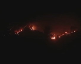 Kebakaran Lahan Sibualong Donggala