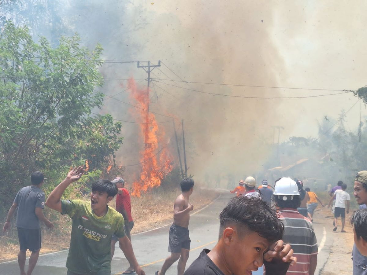 Kebakaran Poso Meluas