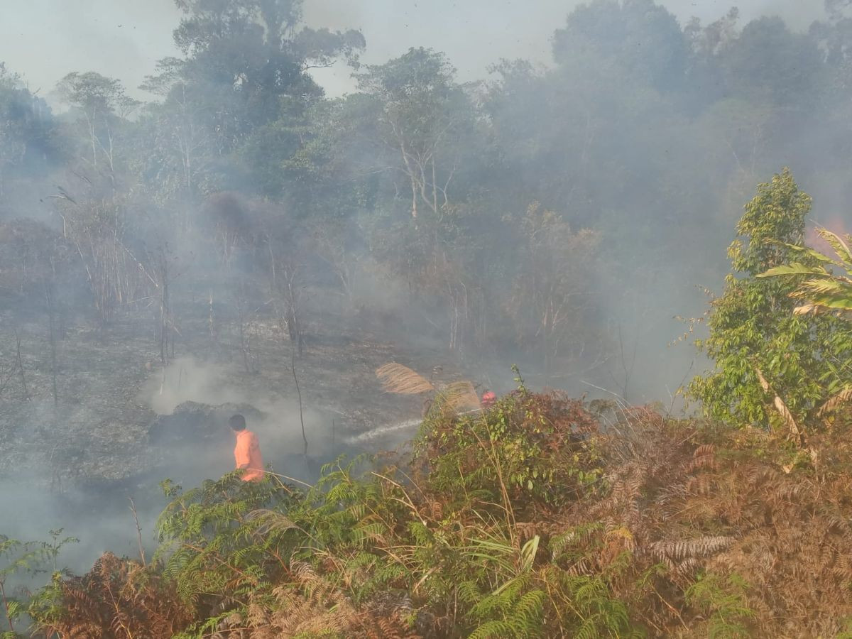 Kebakaran Lahan Tojo Una-Una